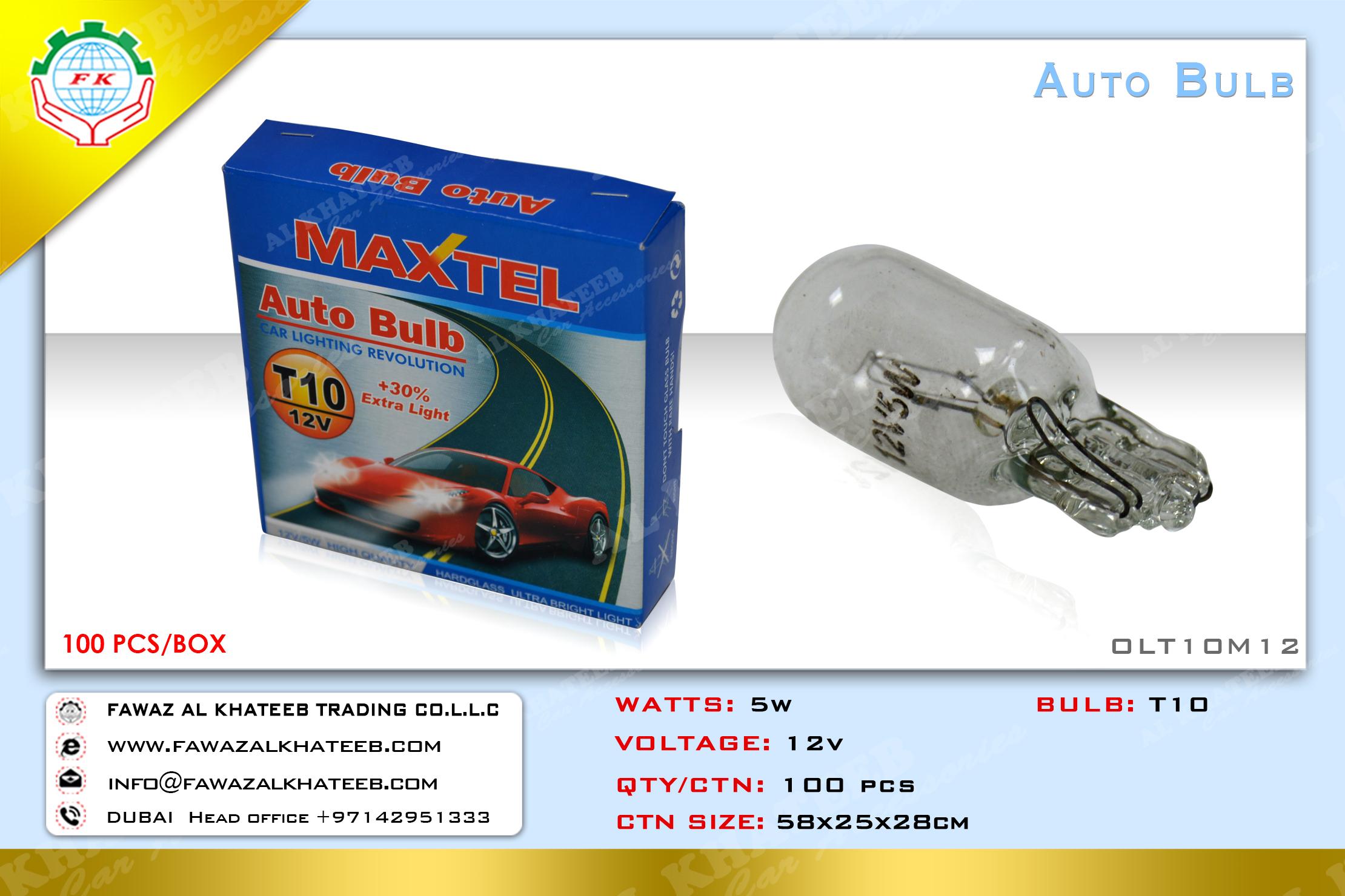 CAPLESS BULB T10 5W 12V 100PC